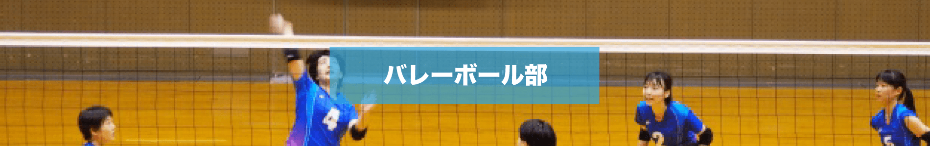 バレーボール部