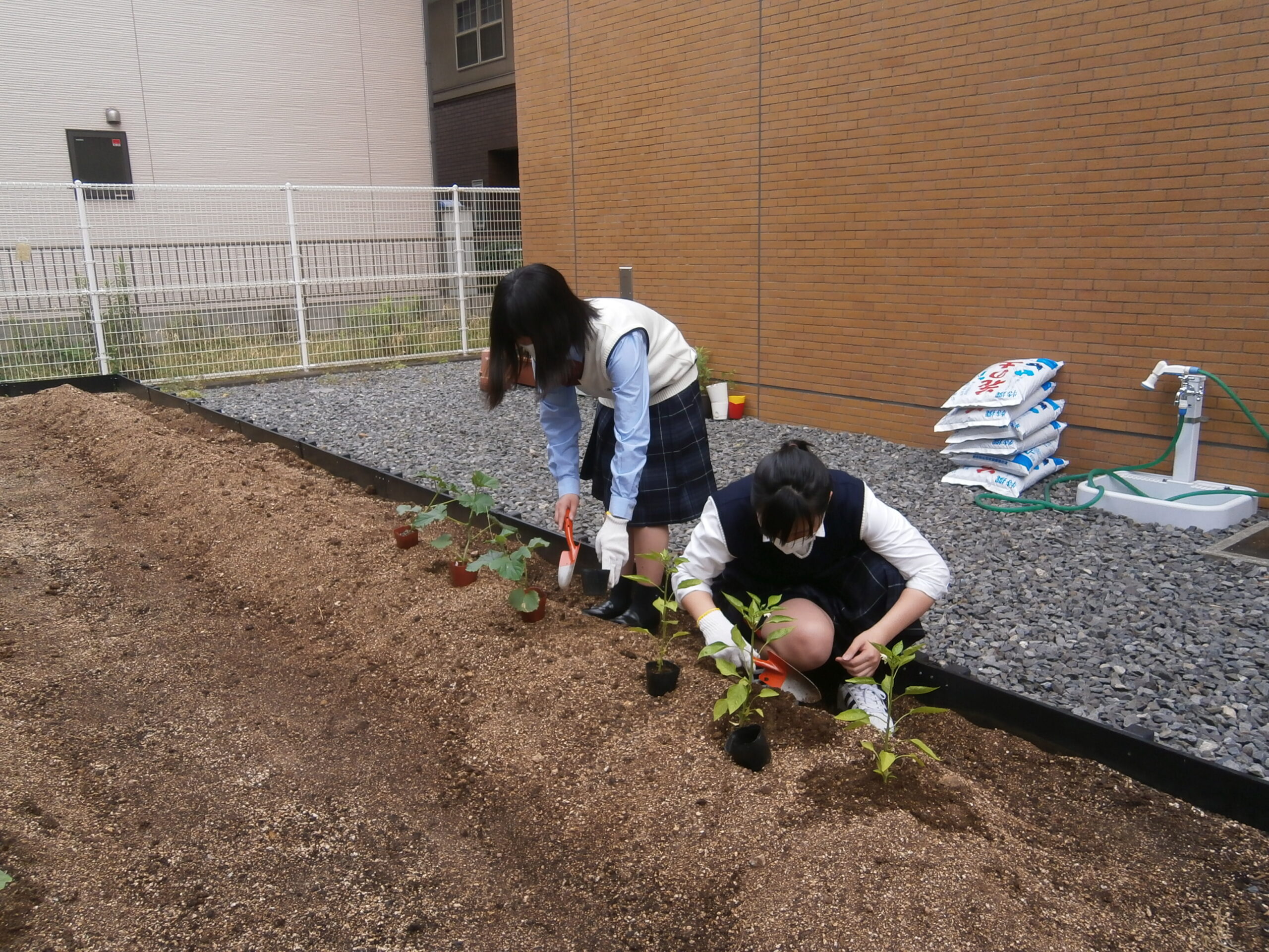 家庭クラブ活動